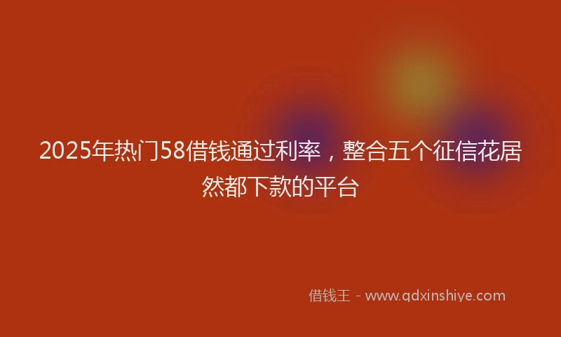 2025年热门58借钱通过利率，整合五个征信花居然都下款的平台