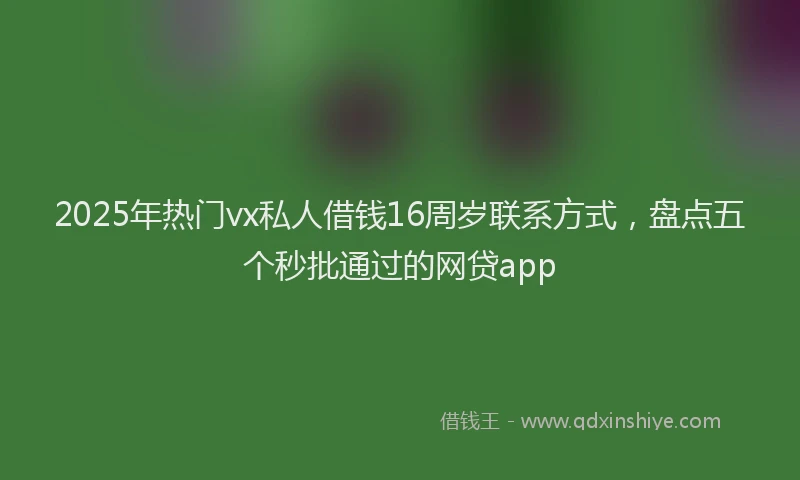 2025年热门vx私人借钱16周岁联系方式，盘点五个秒批通过的网贷app