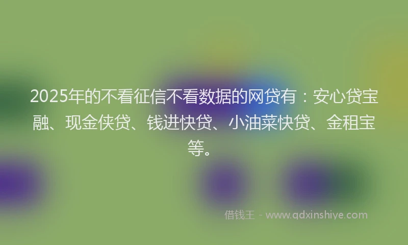 2025年的不看征信不看数据的网贷有：安心贷宝融、现金侠贷、钱进快贷、小油菜快贷、金租宝等。