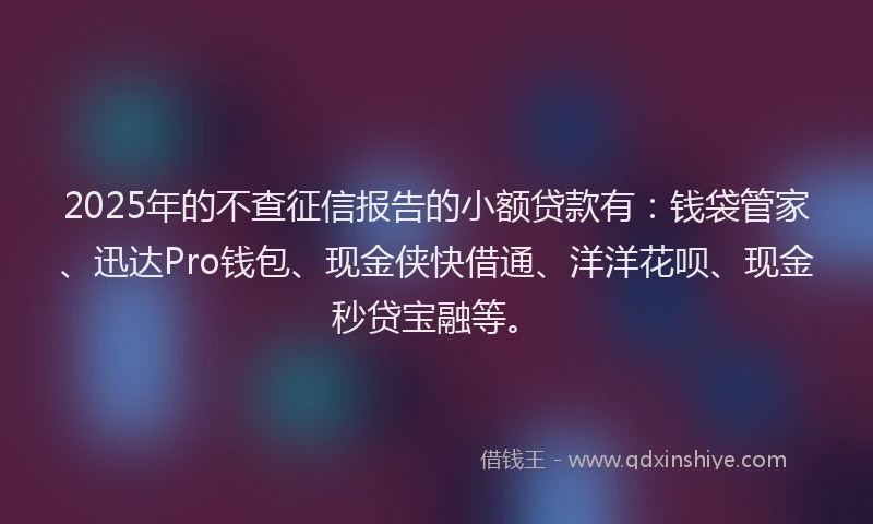 2025年的不查征信报告的小额贷款有：钱袋管家、迅达Pro钱包、现金侠快借通、洋洋花呗、现金秒贷宝融等。