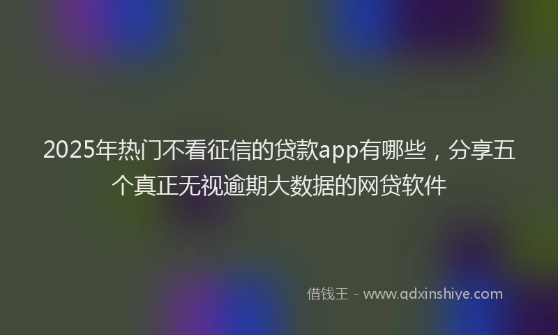 2025年热门不看征信的贷款app有哪些，分享五个真正无视逾期大数据的网贷软件