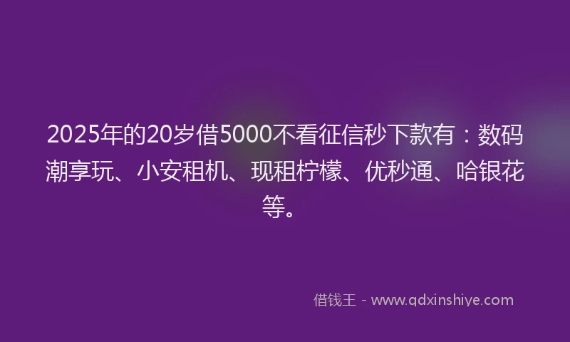 2025年的20岁借5000不看征信秒下款有：数码潮享玩、小安租机、现租柠檬、优秒通、哈银花等。