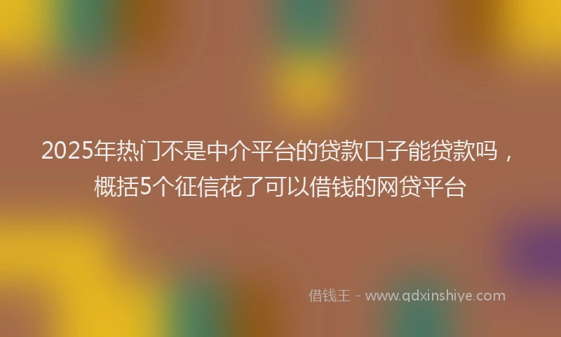 2025年热门不是中介平台的贷款口子能贷款吗，概括5个征信花了可以借钱的网贷平台