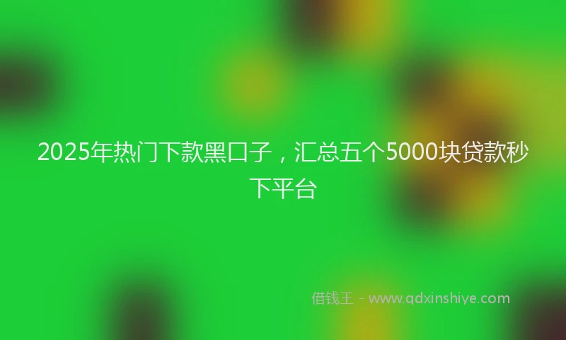 2025年热门下款黑口子，汇总五个5000块贷款秒下平台