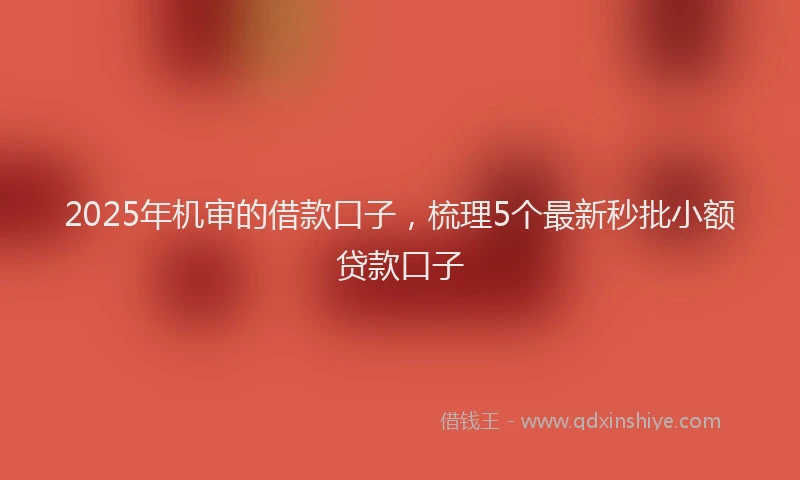 2025年机审的借款口子，梳理5个最新秒批小额贷款口子