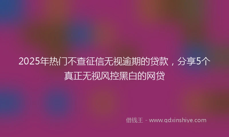 2025年热门不查征信无视逾期的贷款，分享5个真正无视风控黑白的网贷