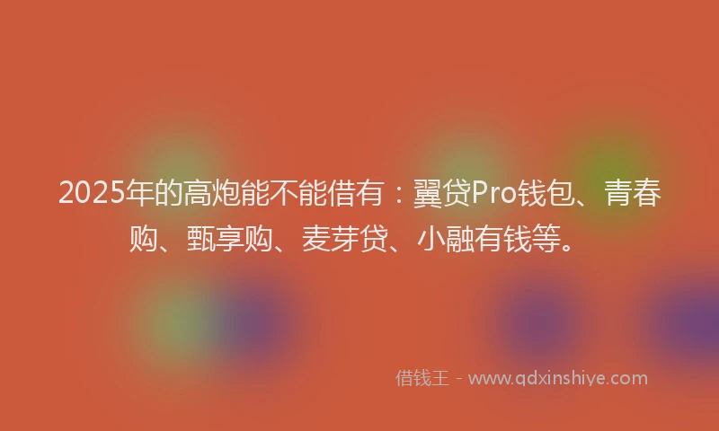 2025年的高炮能不能借有：翼贷Pro钱包、青春购、甄享购、麦芽贷、小融有钱等。