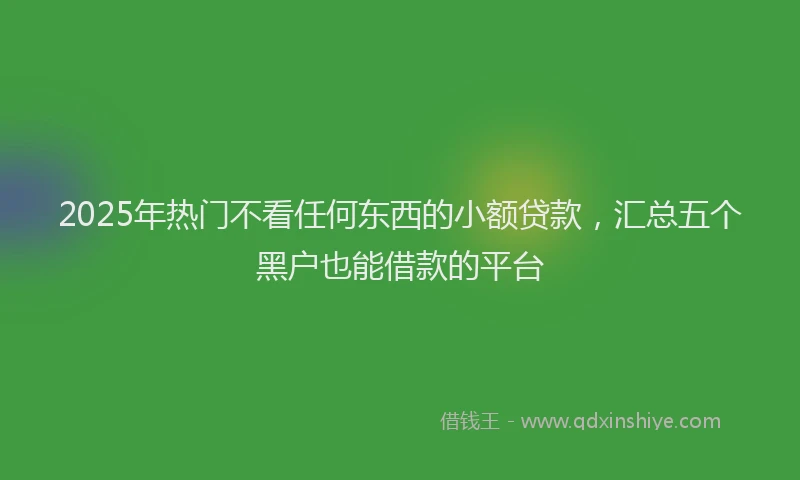 2025年热门不看任何东西的小额贷款，汇总五个黑户也能借款的平台