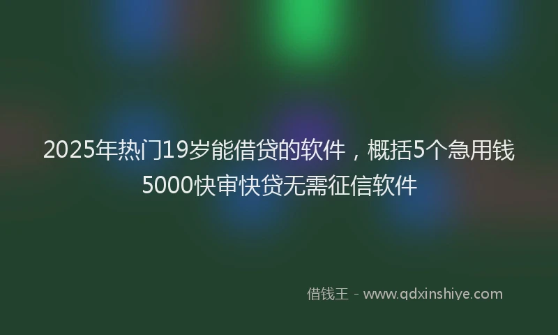 2025年热门19岁能借贷的软件，概括5个急用钱5000快审快贷无需征信软件