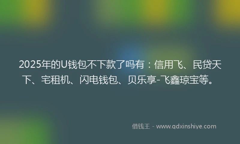 2025年的U钱包不下款了吗有：信用飞、民贷天下、宅租机、闪电钱包、贝乐享-飞鑫琼宝等。
