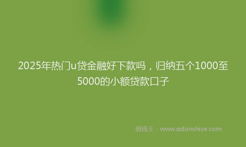 2025年热门u贷金融好下款吗，归纳五个1000至5000的小额贷款口子