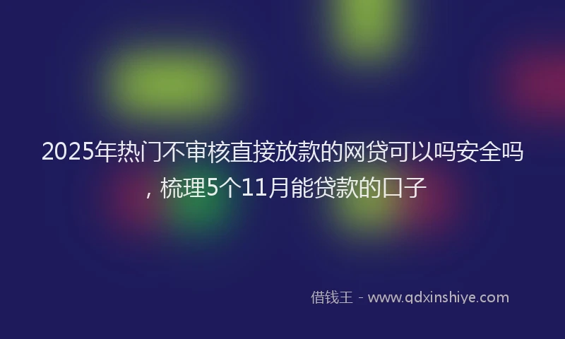 2025年热门不审核直接放款的网贷可以吗安全吗，梳理5个11月能贷款的口子