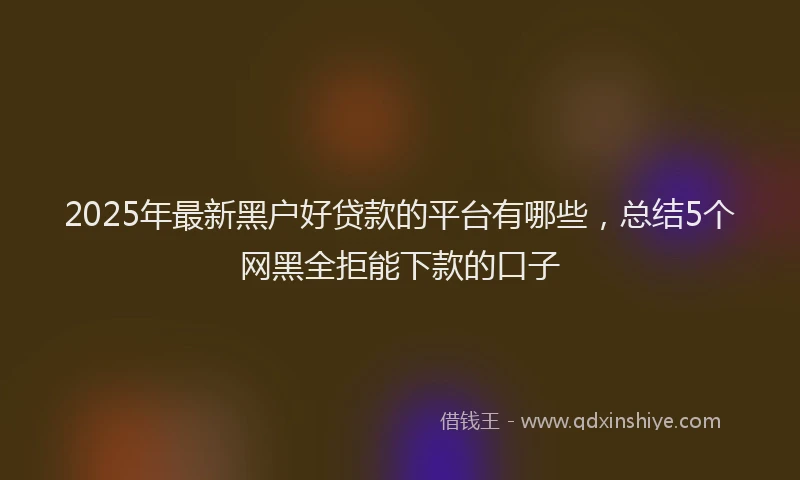 2025年最新黑户好贷款的平台有哪些，总结5个网黑全拒能下款的口子
