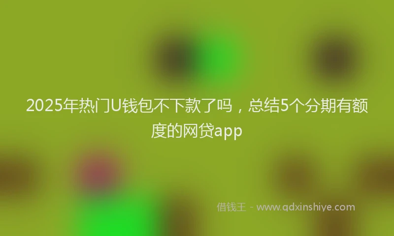 2025年热门U钱包不下款了吗，总结5个分期有额度的网贷app