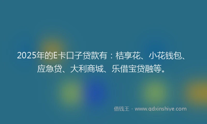 2025年的E卡口子贷款有：桔享花、小花钱包、应急贷、大利商城、乐借宝贷融等。