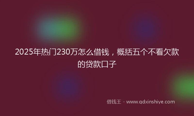 2025年热门230万怎么借钱，概括五个不看欠款的贷款口子