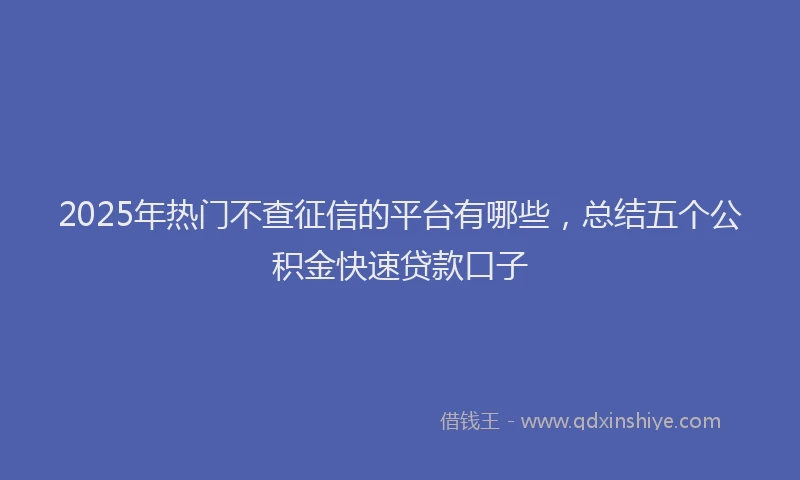2025年热门不查征信的平台有哪些，总结五个公积金快速贷款口子