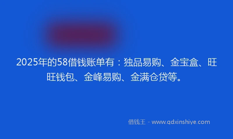 2025年的58借钱账单有：独品易购、金宝盒、旺旺钱包、金峰易购、金满仓贷等。