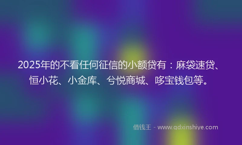 2025年的不看任何征信的小额贷有：麻袋速贷、恒小花、小金库、兮悦商城、哆宝钱包等。