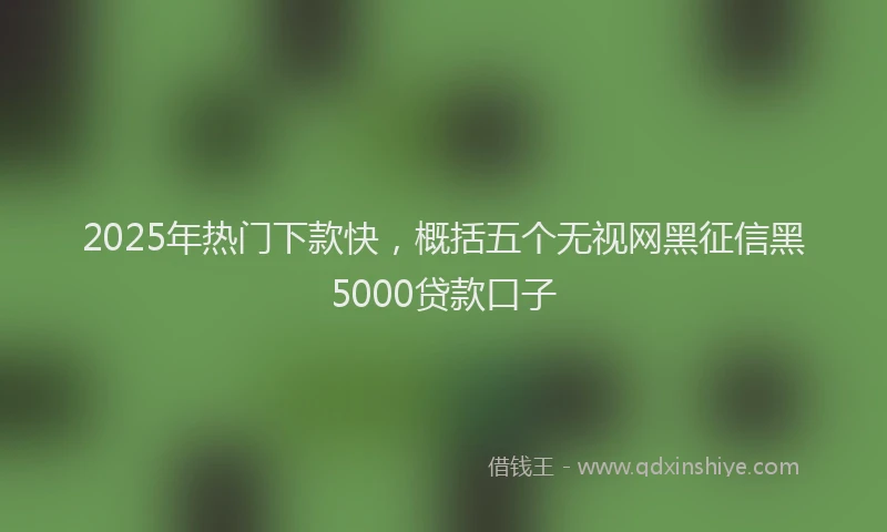 2025年热门下款快，概括五个无视网黑征信黑5000贷款口子