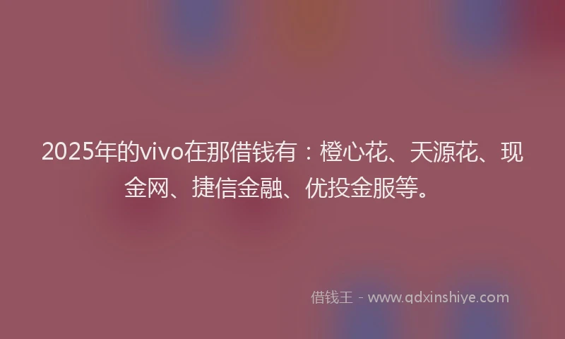 2025年的vivo在那借钱有：橙心花、天源花、现金网、捷信金融、优投金服等。