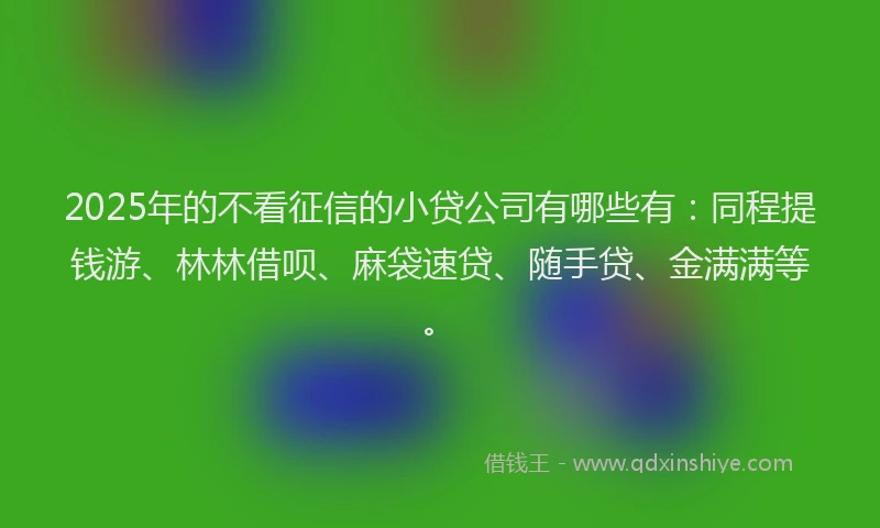 2025年的不看征信的小贷公司有哪些有：同程提钱游、林林借呗、麻袋速贷、随手贷、金满满等。