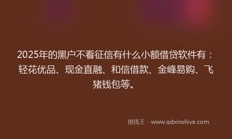 2025年的黑户不看征信有什么小额借贷软件有：轻花优品、现金直融、和信借款、金峰易购、飞猪钱包等。