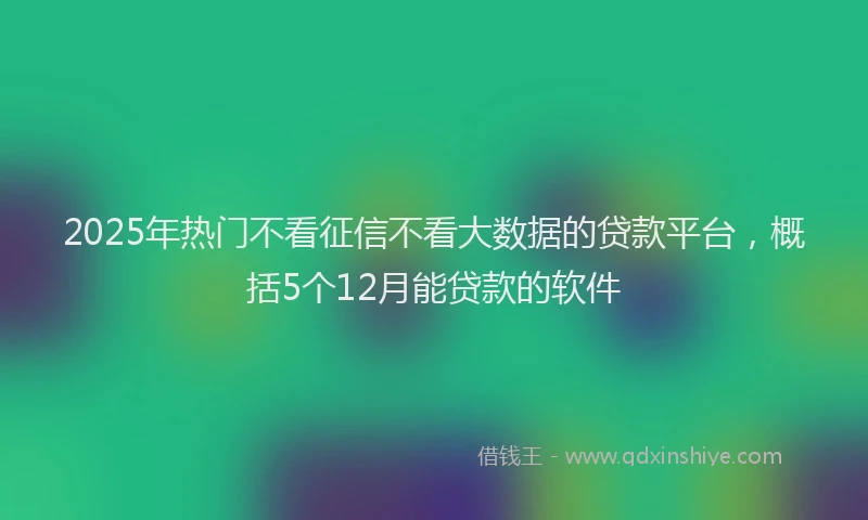 2025年热门不看征信不看大数据的贷款平台，概括5个12月能贷款的软件