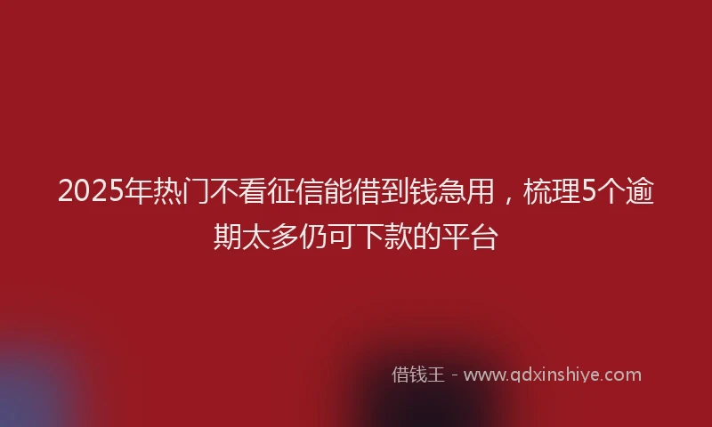 2025年热门不看征信能借到钱急用，梳理5个逾期太多仍可下款的平台