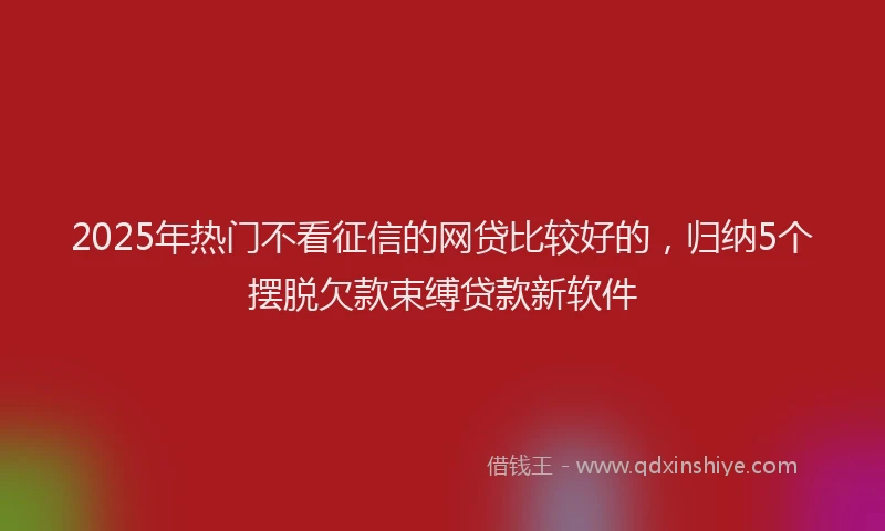 2025年热门不看征信的网贷比较好的，归纳5个摆脱欠款束缚贷款新软件