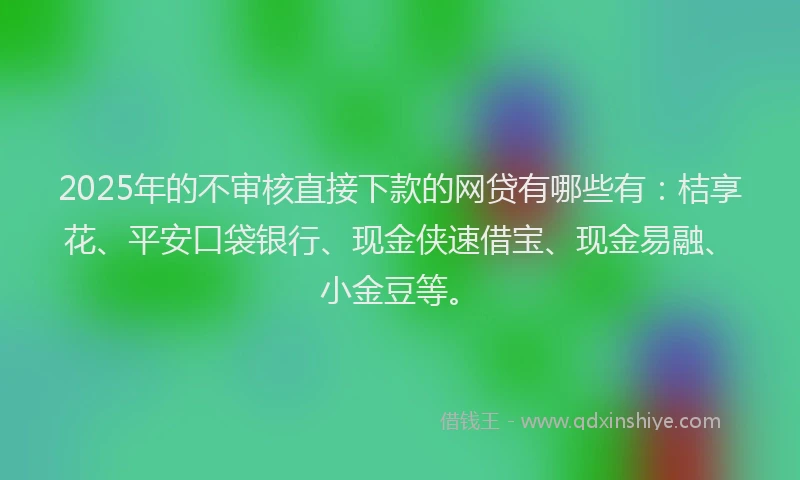 2025年的不审核直接下款的网贷有哪些有：桔享花、平安口袋银行、现金侠速借宝、现金易融、小金豆等。