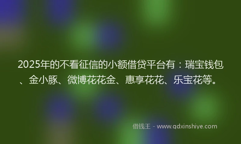 2025年的不看征信的小额借贷平台有：瑞宝钱包、金小豚、微博花花金、惠享花花、乐宝花等。