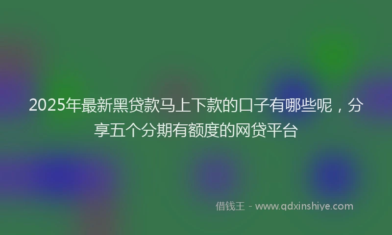 2025年最新黑贷款马上下款的口子有哪些呢，分享五个分期有额度的网贷平台