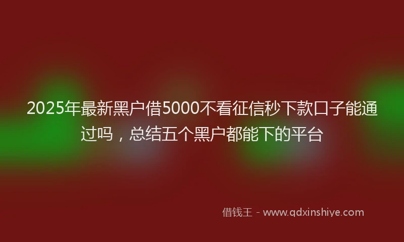 2025年最新黑户借5000不看征信秒下款口子能通过吗，总结五个黑户都能下的平台