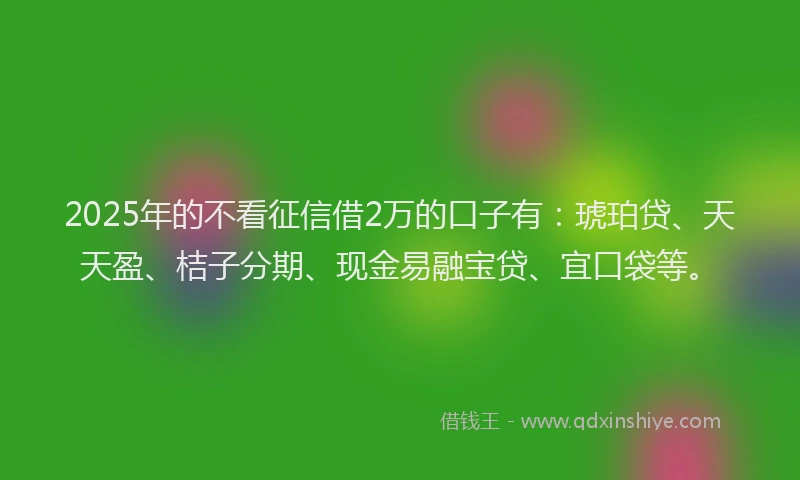 2025年的不看征信借2万的口子有：琥珀贷、天天盈、桔子分期、现金易融宝贷、宜口袋等。