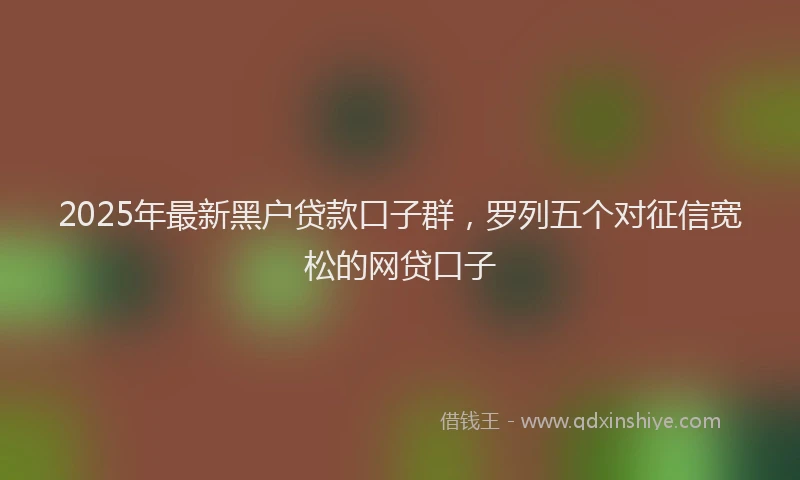 2025年最新黑户贷款口子群，罗列五个对征信宽松的网贷口子