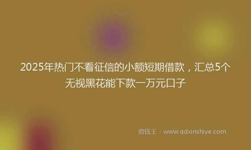 2025年热门不看征信的小额短期借款，汇总5个无视黑花能下款一万元口子