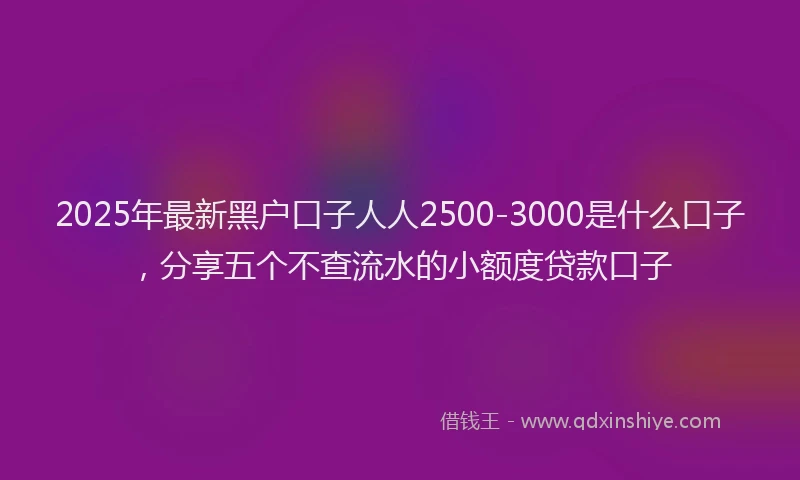 2025年最新黑户口子人人2500-3000是什么口子，分享五个不查流水的小额度贷款口子