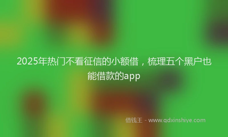 2025年热门不看征信的小额借，梳理五个黑户也能借款的app
