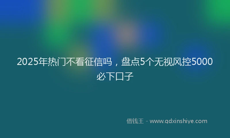 2025年热门不看征信吗，盘点5个无视风控5000必下口子