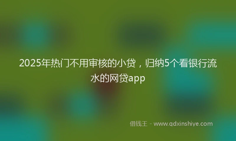 2025年热门不用审核的小贷，归纳5个看银行流水的网贷app