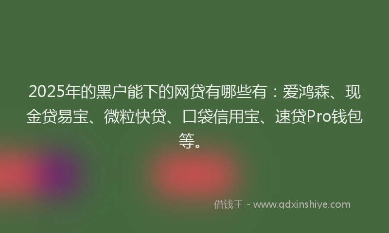2025年的黑户能下的网贷有哪些有：爱鸿森、现金贷易宝、微粒快贷、口袋信用宝、速贷Pro钱包等。