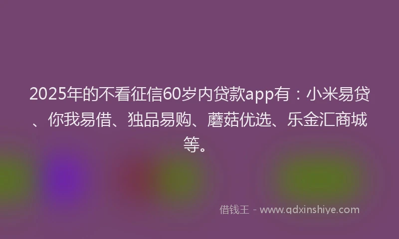 2025年的不看征信60岁内贷款app有：小米易贷、你我易借、独品易购、蘑菇优选、乐金汇商城等。