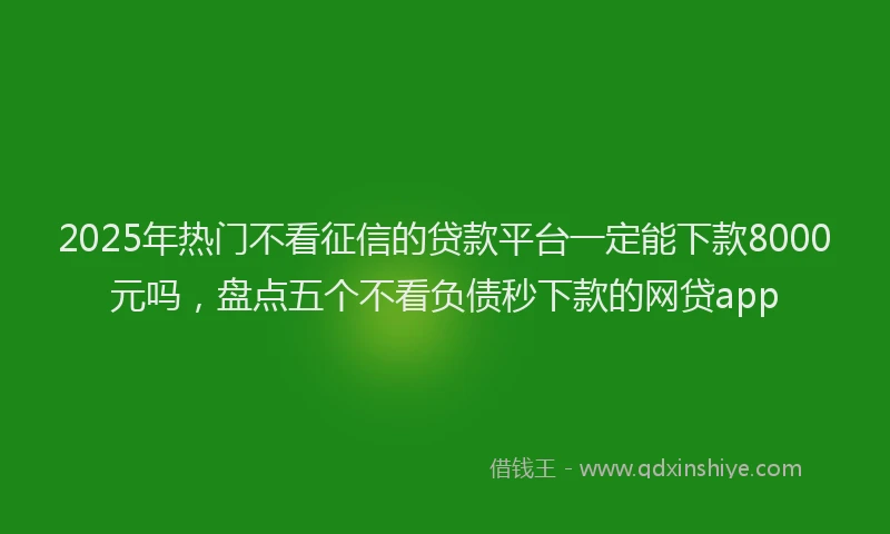 2025年热门不看征信的贷款平台一定能下款8000元吗，盘点五个不看负债秒下款的网贷app