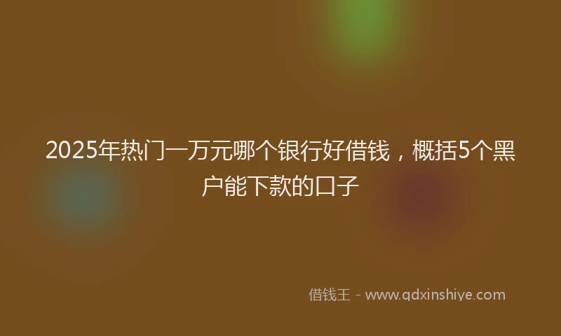 2025年热门一万元哪个银行好借钱，概括5个黑户能下款的口子