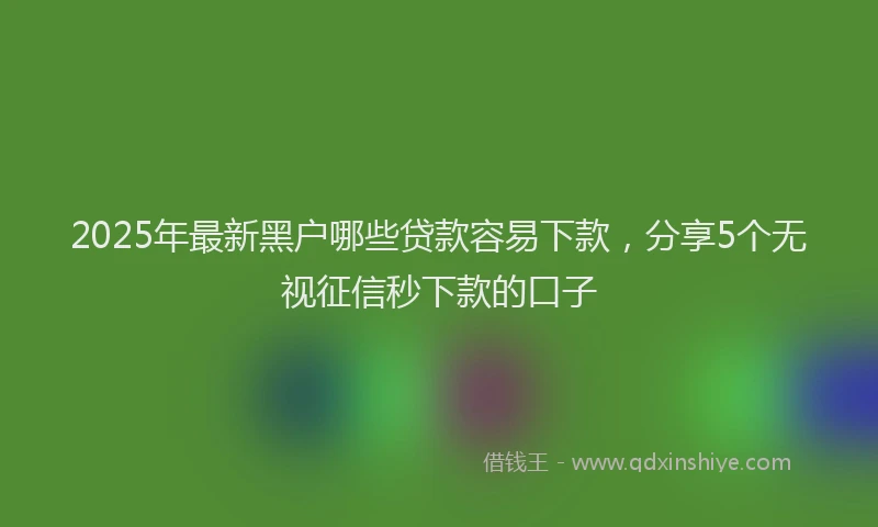 2025年最新黑户哪些贷款容易下款，分享5个无视征信秒下款的口子