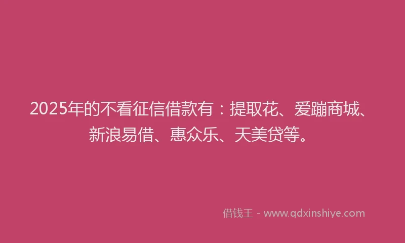 2025年的不看征信借款有：提取花、爱蹦商城、新浪易借、惠众乐、天美贷等。