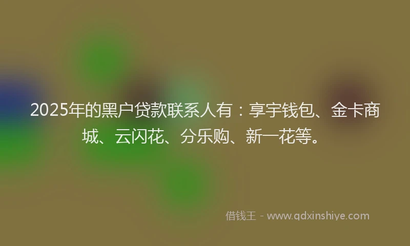 2025年的黑户贷款联系人有：享宇钱包、金卡商城、云闪花、分乐购、新一花等。