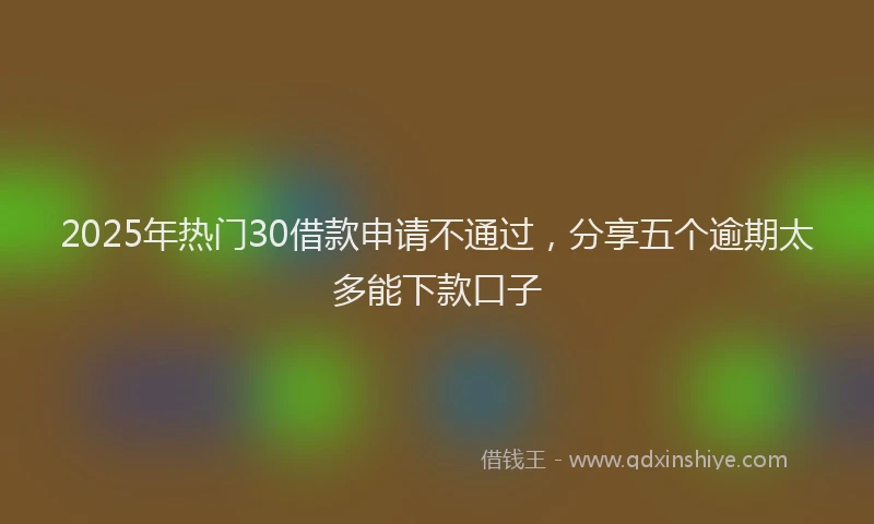 2025年热门30借款申请不通过，分享五个逾期太多能下款口子
