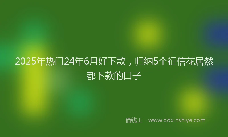 2025年热门24年6月好下款，归纳5个征信花居然都下款的口子